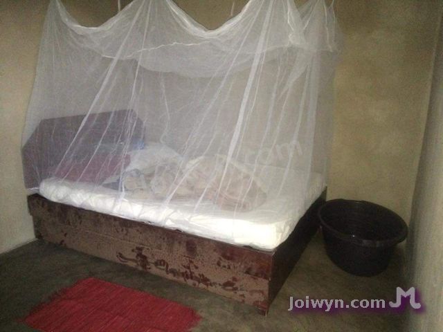 bug net over bed